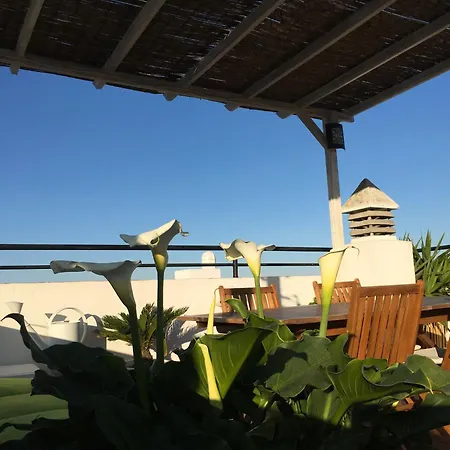 Atico Con Terraza Privada En Casa Palacio Del Centro Historico El Puerto de Santa Maria