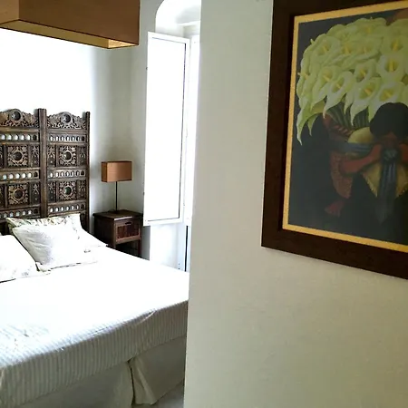 Apartment Atico Con Terraza Privada En Casa Palacio Del Centro Historico