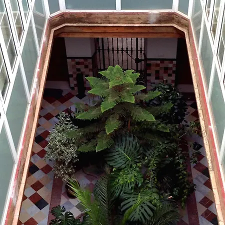 Atico Con Terraza Privada En Casa Palacio Del Centro Historico Apartment